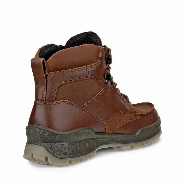 Ecco Men's Track 25 Gore-Tex Mid-Cut Boot - Bison Bass Hiking Boots