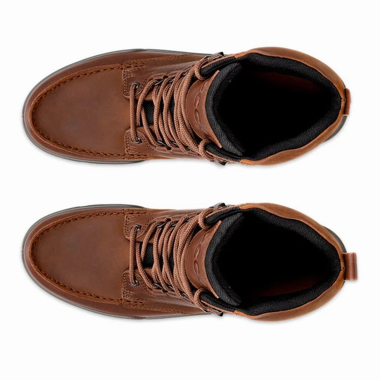 Ecco Men's Track 25 Gore-Tex Mid-Cut Boot - Bison North Face Fastpack Hiking Boots