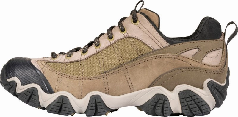 Oboz Men's Firebrand II Low Waterproof - Pine Hiking Boots As Snow Boots