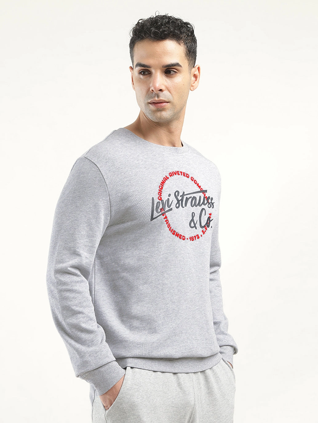 Teach Sweatshirts Men's Solid Grey Crew Neck Sweatshirt