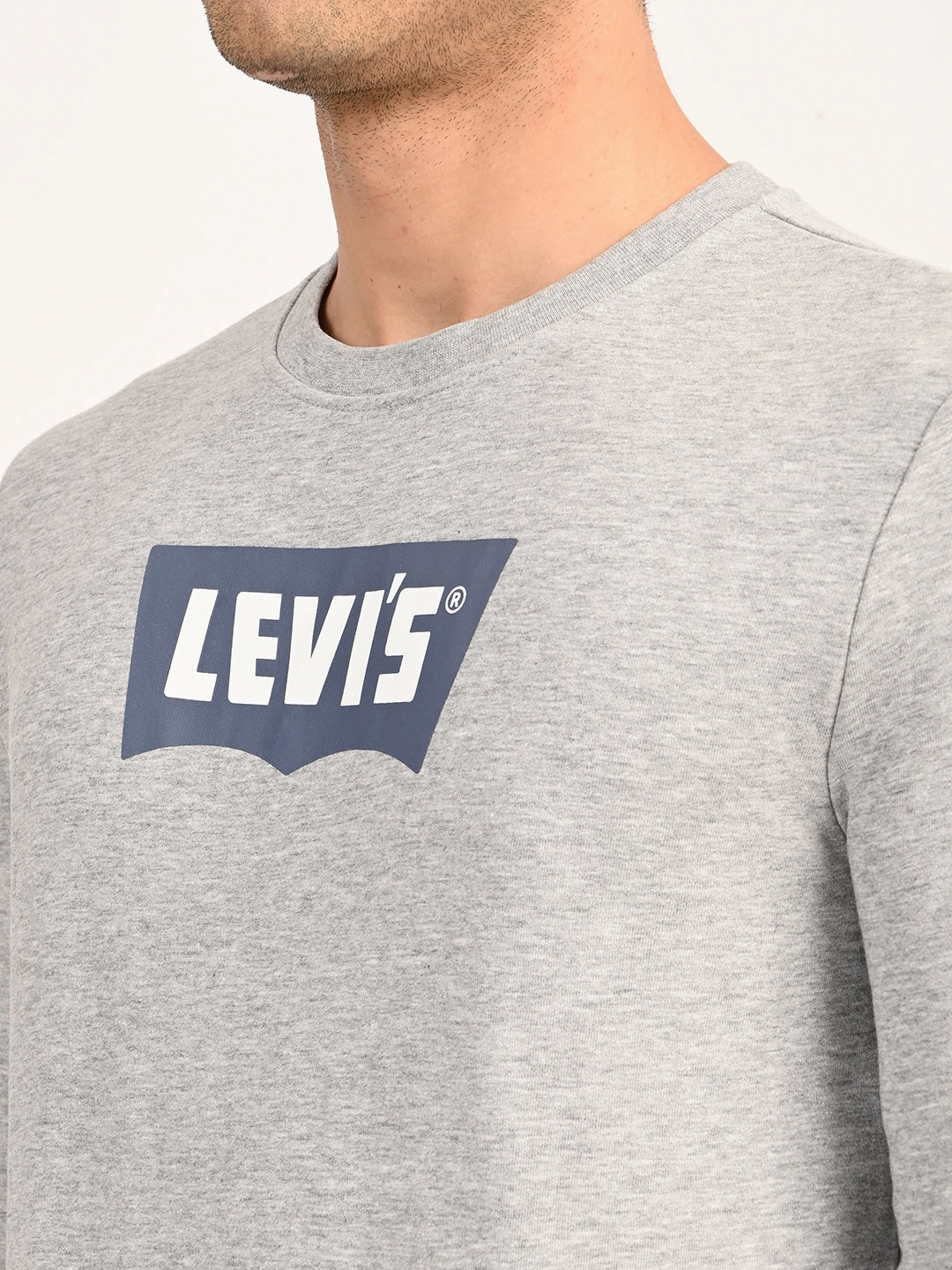 Men's Typographic Print Light Grey Slim Fit Sweatshirt Loose Sweatshirts