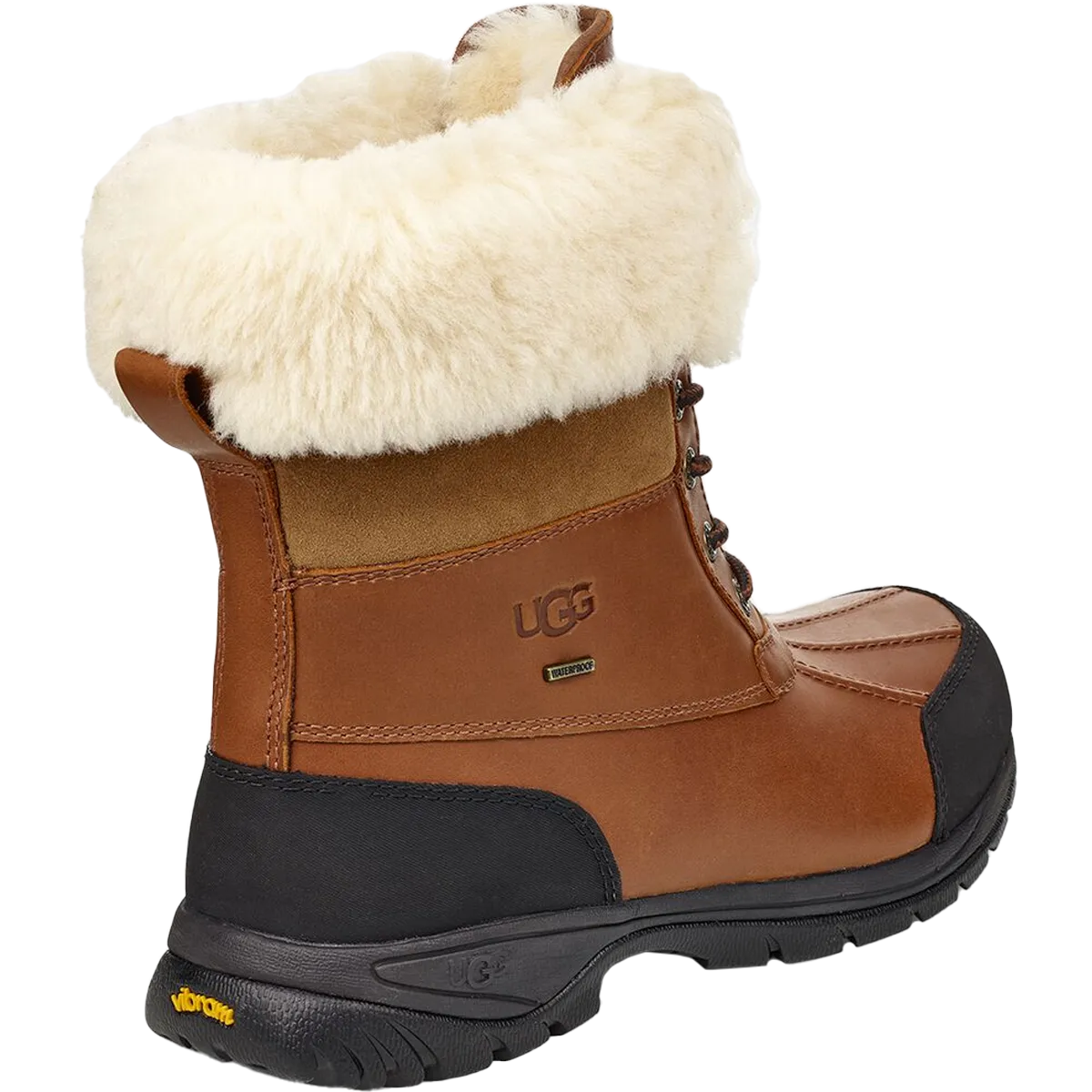 Men's Butte Winter Waterproof Slip On Shoes