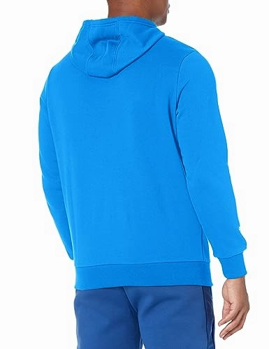 Sweatshirts For Teenagers PUMA Men's Mercedes AMG Petronas Essentials Fleece Hoodie