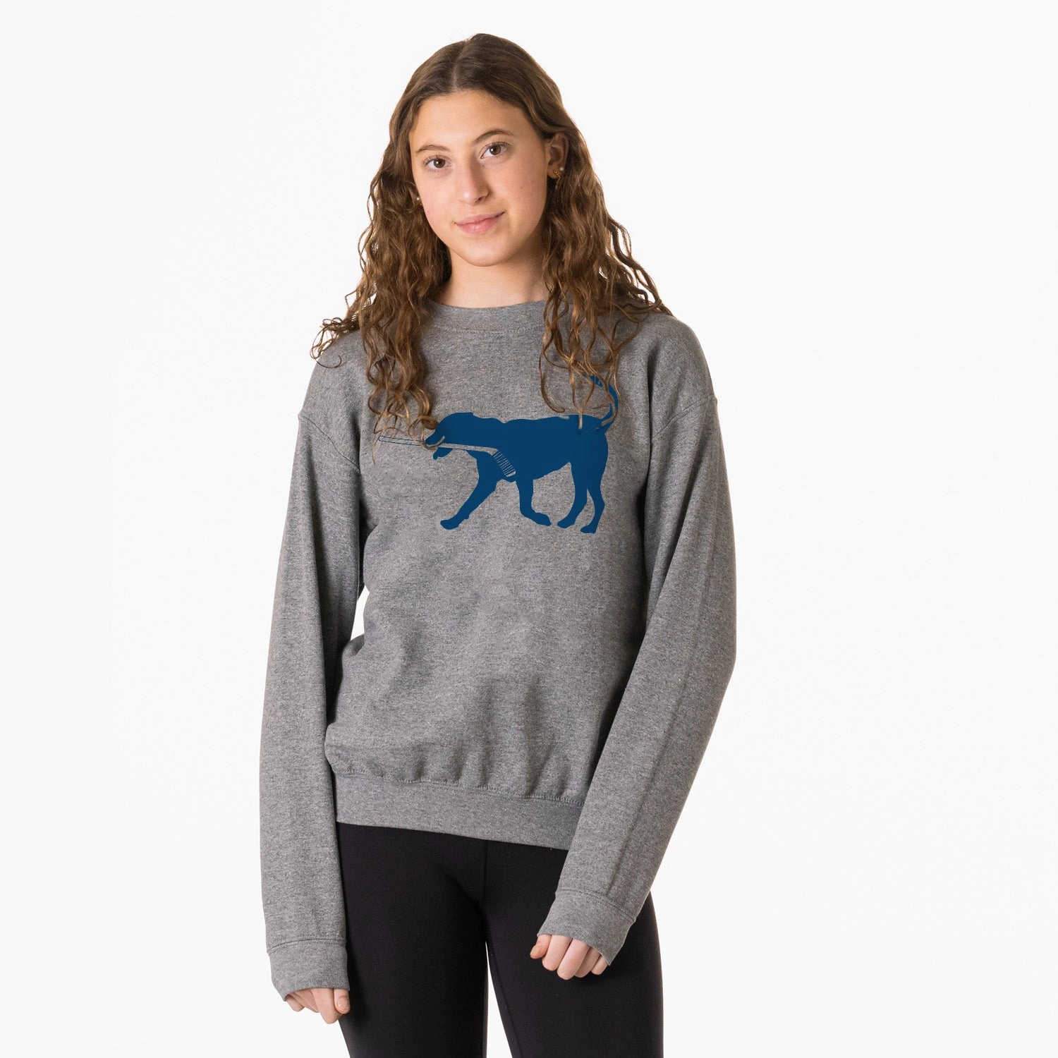 Political Sweatshirts Hockey Crewneck Sweatshirt - Rocky the Hockey Dog