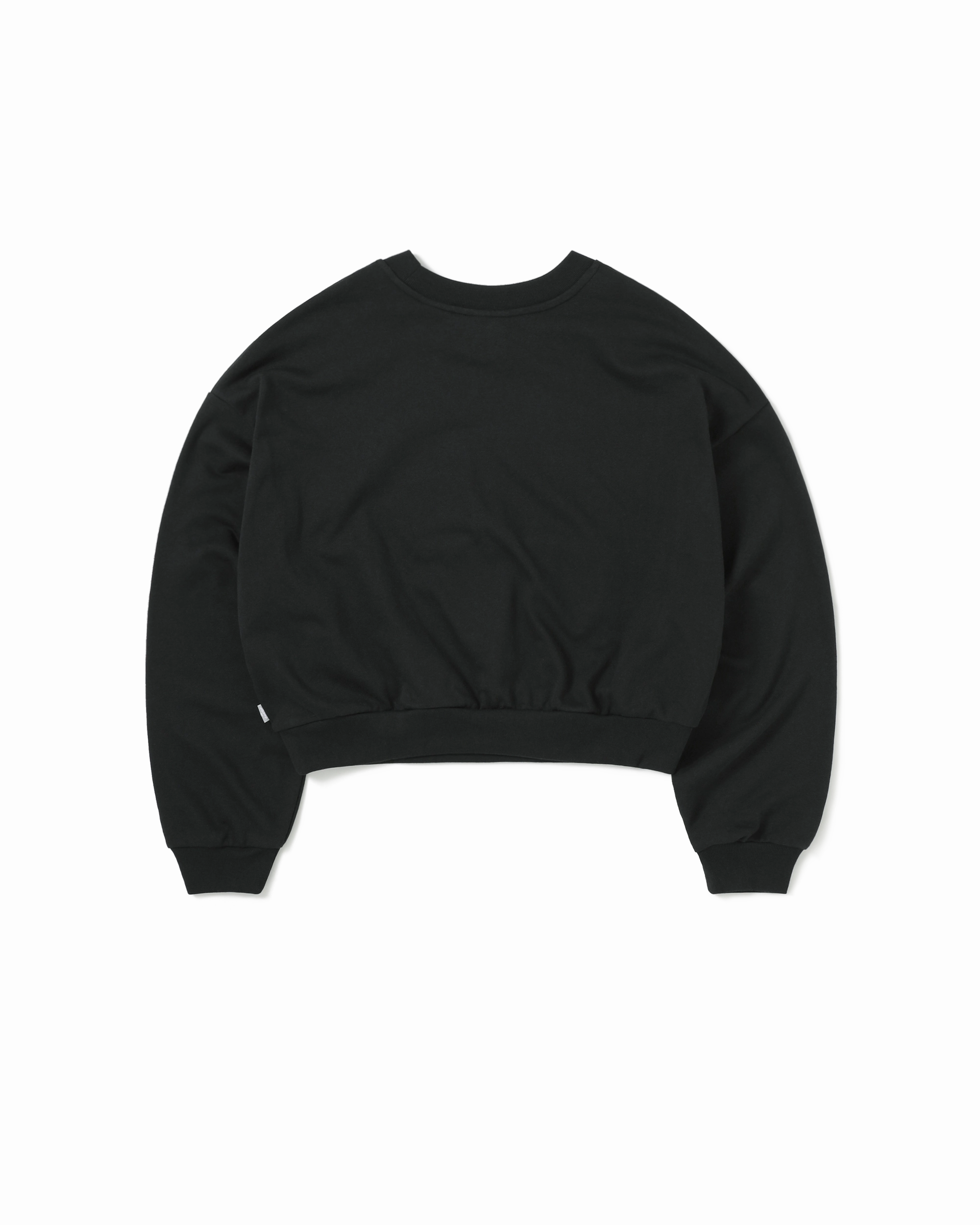 Printed Sweatshirts SILVERTAB / GRAPHIC LAUNDRY CREW (WOMEN)