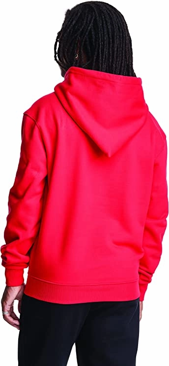 Disneyland Sweatshirts Champion Men's Original Super Fleece Sweatshirt with Conehead Style Hood